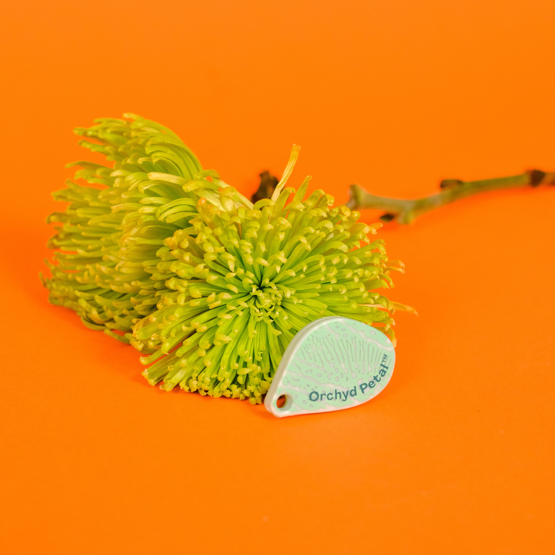 Orchyd Petal Keychain